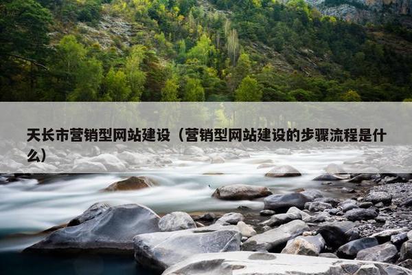 天长市营销型网站建设（营销型网站建设的步骤流程是什么）