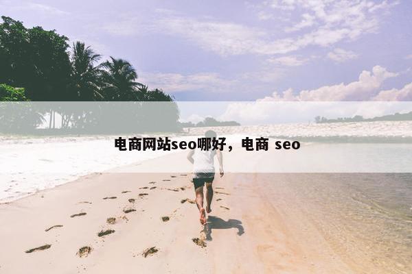 电商网站seo哪好，电商 seo