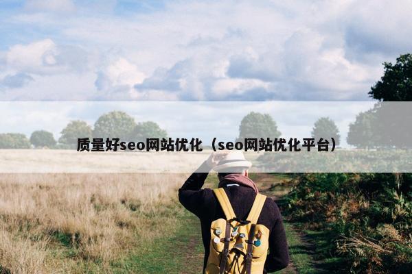 质量好seo网站优化（seo网站优化平台）