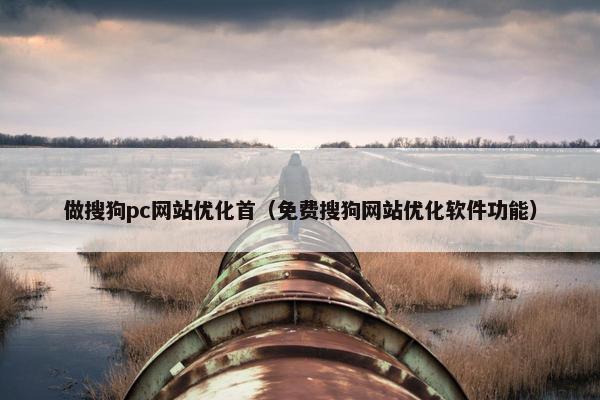 做搜狗pc网站优化首（免费搜狗网站优化软件功能）