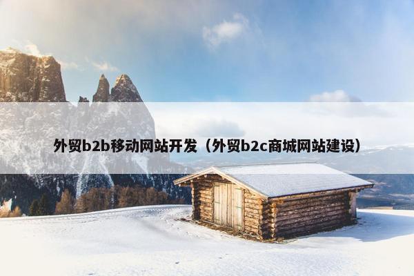 外贸b2b移动网站开发（外贸b2c商城网站建设）