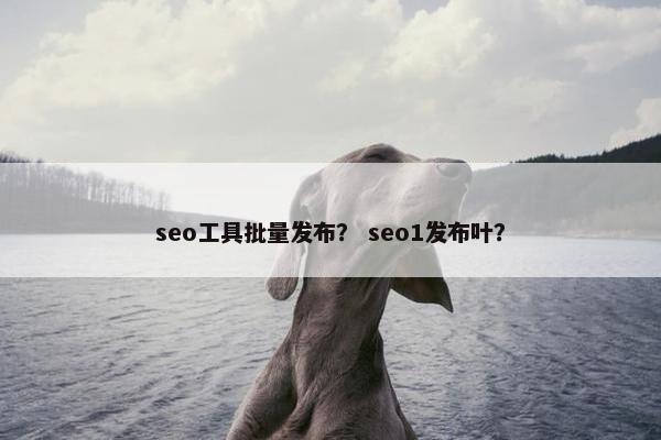 seo工具批量发布？ seo1发布叶？