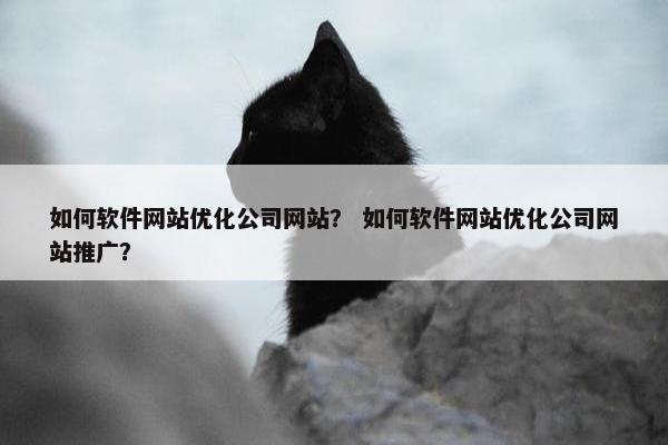 如何软件网站优化公司网站？ 如何软件网站优化公司网站推广？