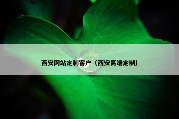 西安网站定制客户（西安高端定制）