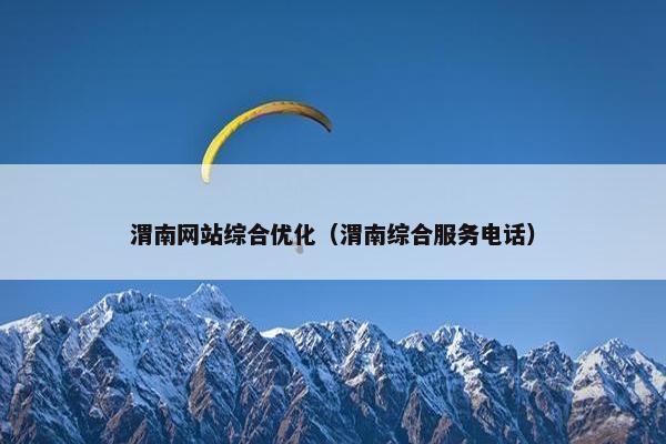 渭南网站综合优化（渭南综合服务电话）