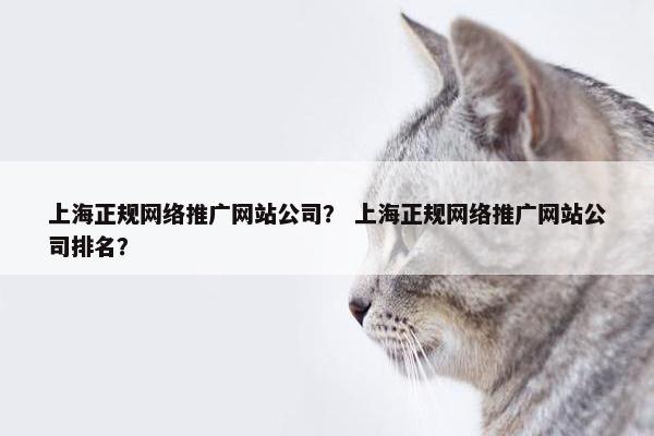 上海正规网络推广网站公司？ 上海正规网络推广网站公司排名？