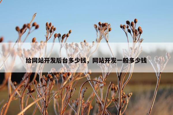 给网站开发后台多少钱，网站开发一般多少钱