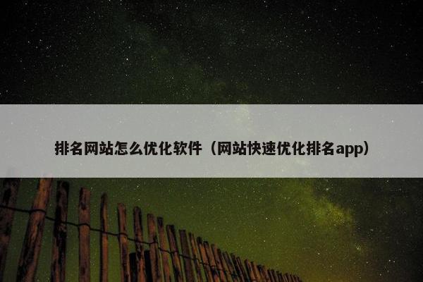 排名网站怎么优化软件（网站快速优化排名app）
