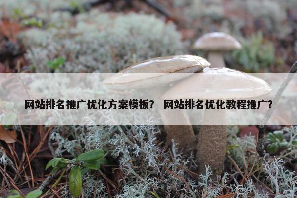 网站排名推广优化方案模板？ 网站排名优化教程推广？