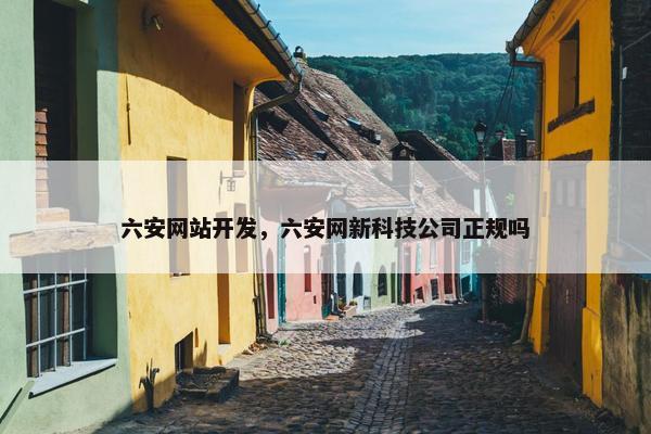 六安网站开发，六安网新科技公司正规吗