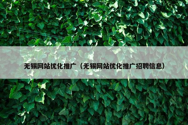 无锡网站优化推广（无锡网站优化推广招聘信息）