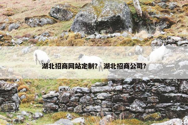 湖北招商网站定制？ 湖北招商公司？