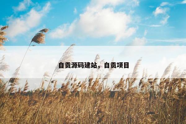 自贡源码建站，自贡项目