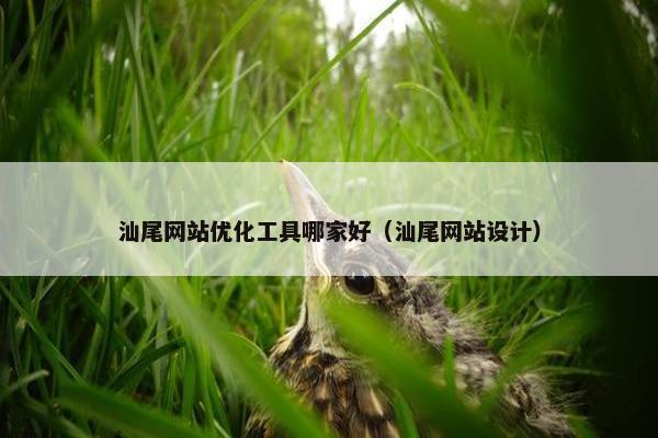 汕尾网站优化工具哪家好（汕尾网站设计）