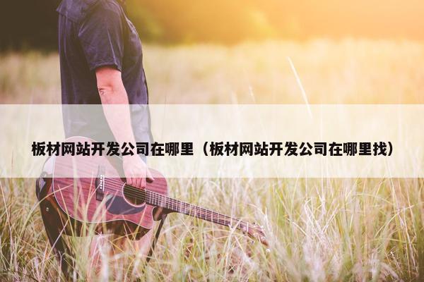 板材网站开发公司在哪里（板材网站开发公司在哪里找）