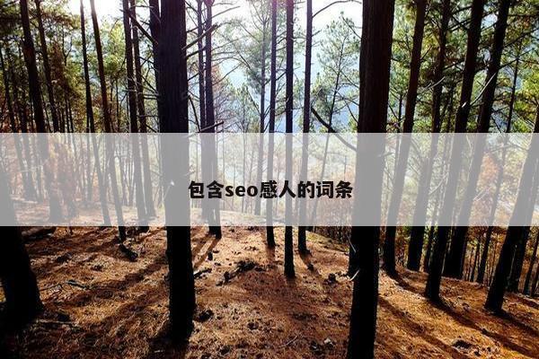 包含seo感人的词条