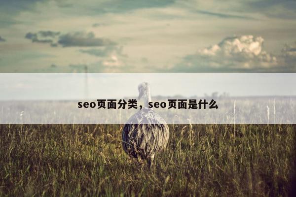 seo页面分类，seo页面是什么
