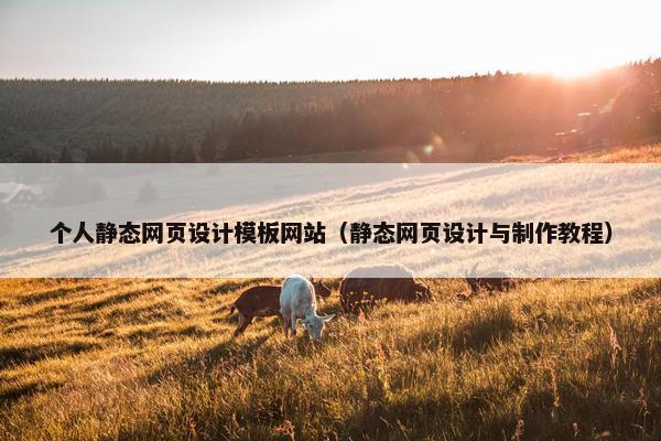 个人静态网页设计模板网站（静态网页设计与制作教程）