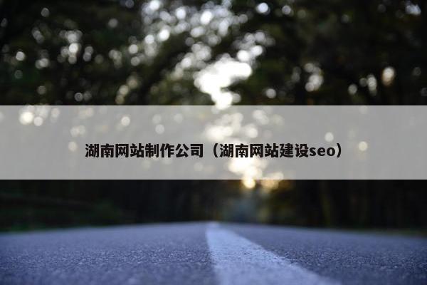 湖南网站制作公司（湖南网站建设seo）