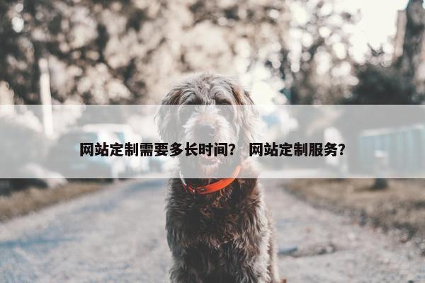 网站定制需要多长时间？ 网站定制服务？