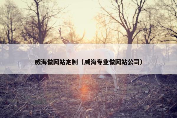 威海做网站定制（威海专业做网站公司）