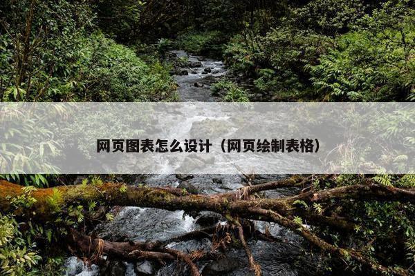 网页图表怎么设计（网页绘制表格）