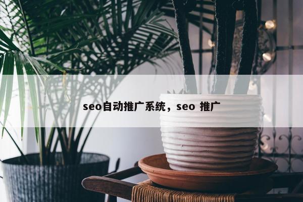 seo自动推广系统，seo 推广