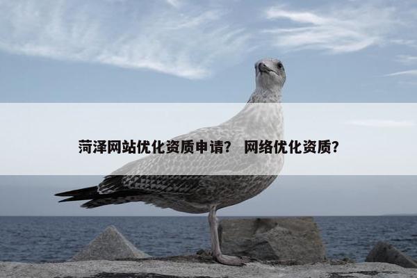 菏泽网站优化资质申请？ 网络优化资质？