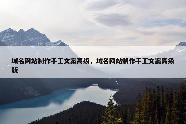 域名网站制作手工文案高级，域名网站制作手工文案高级版