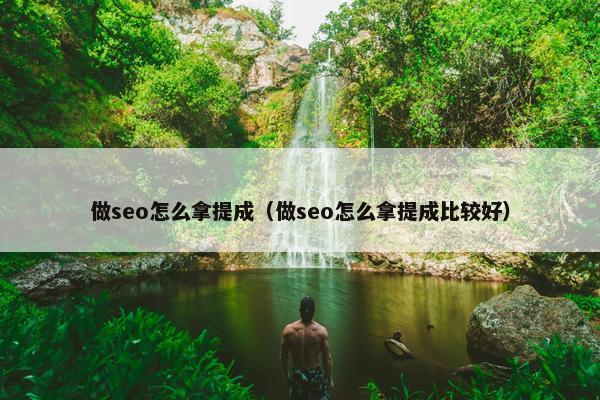 做seo怎么拿提成（做seo怎么拿提成比较好）