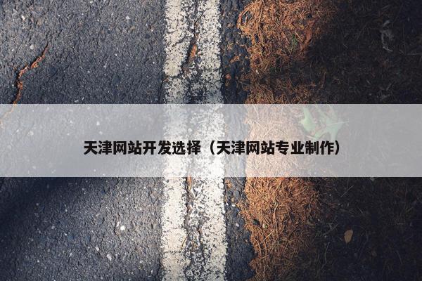 天津网站开发选择（天津网站专业制作）