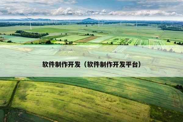 软件制作开发（软件制作开发平台）