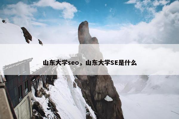 山东大学seo，山东大学SE是什么