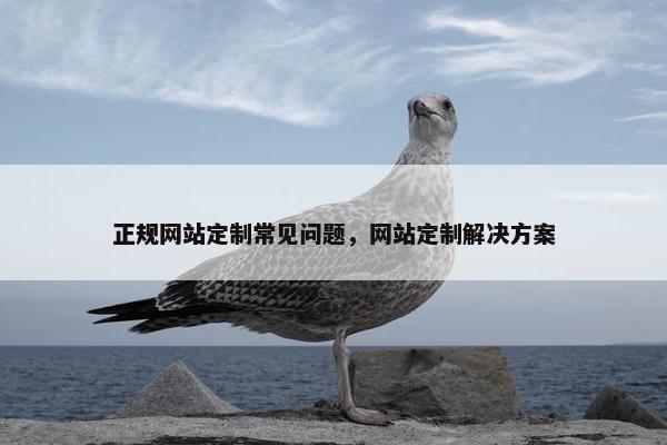 正规网站定制常见问题，网站定制解决方案