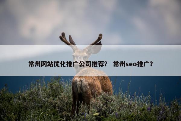 常州网站优化推广公司推荐？ 常州seo推广？