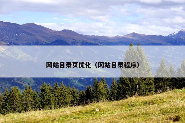 网站目录页优化（网站目录程序）