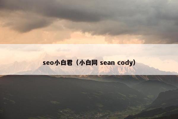 seo小白君（小白网 sean cody）