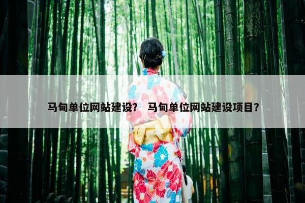 马甸单位网站建设？ 马甸单位网站建设项目？