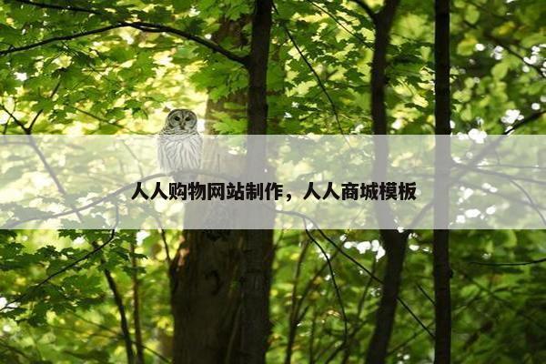 人人购物网站制作，人人商城模板