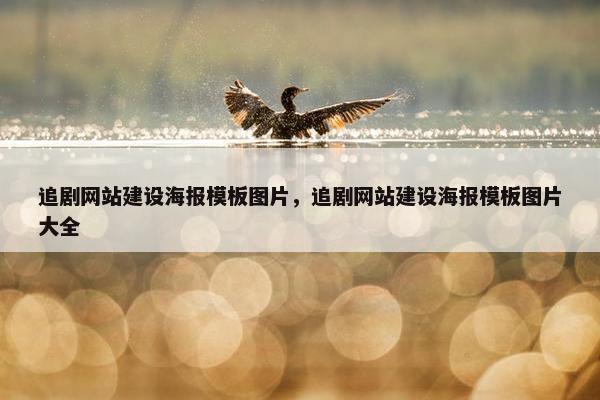 追剧网站建设海报模板图片，追剧网站建设海报模板图片大全