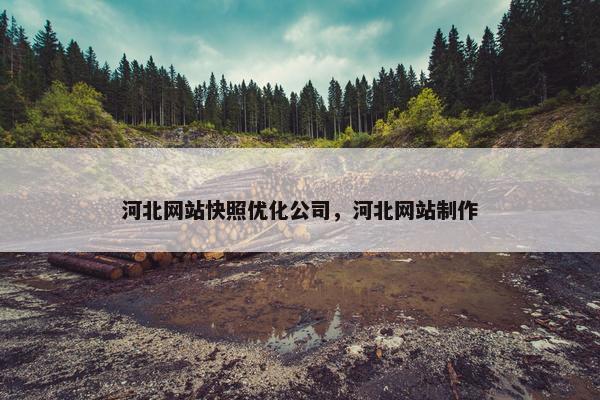 河北网站快照优化公司，河北网站制作