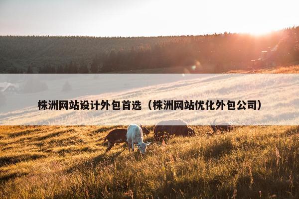 株洲网站设计外包首选（株洲网站优化外包公司）