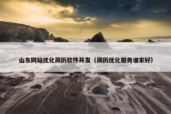 山东网站优化简历软件开发（简历优化服务谁家好）