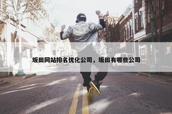 坂田网站排名优化公司，坂田有哪些公司