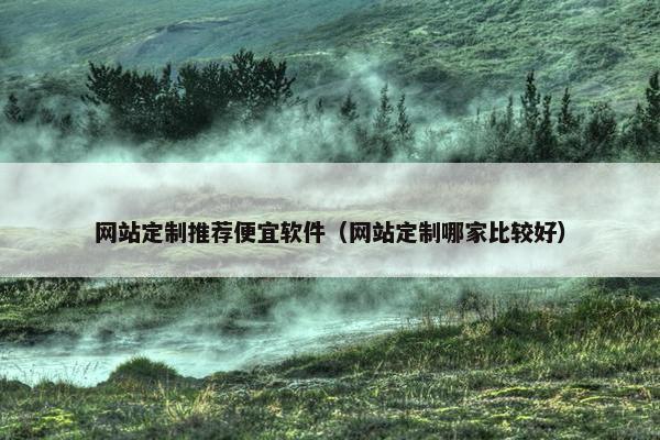 网站定制推荐便宜软件（网站定制哪家比较好）