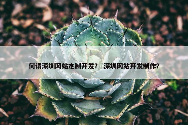何谓深圳网站定制开发？ 深圳网站开发制作？