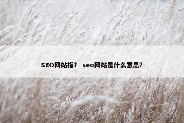 SEO网站指？ seo网站是什么意思？