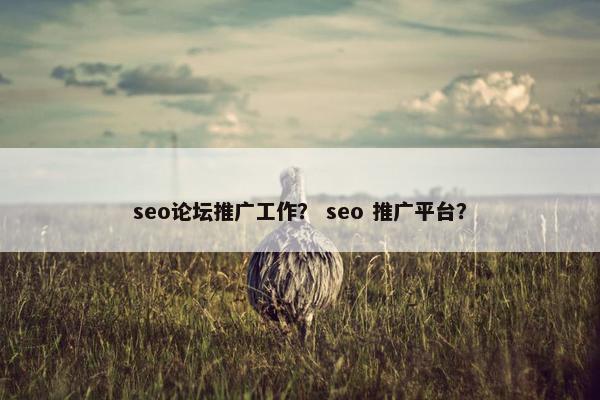 seo论坛推广工作？ seo 推广平台？