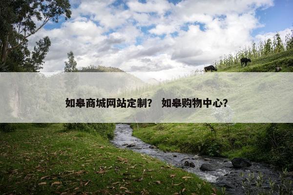 如皋商城网站定制？ 如皋购物中心？