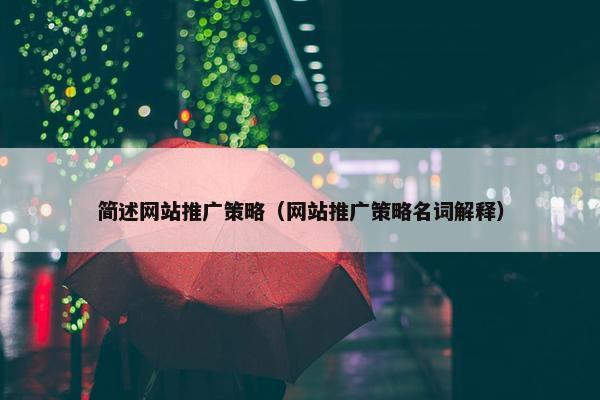 简述网站推广策略（网站推广策略名词解释）
